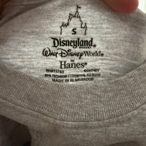 Disneyland Resort Figment Long Sleeve Shirt S Hanes Gray 90% Cotton 10% Polyeste - Picture 5 of 5